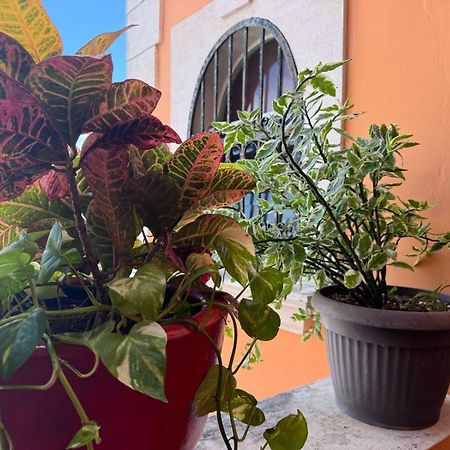 Hotel Casa Mallorca Cancún Kültér fotó
