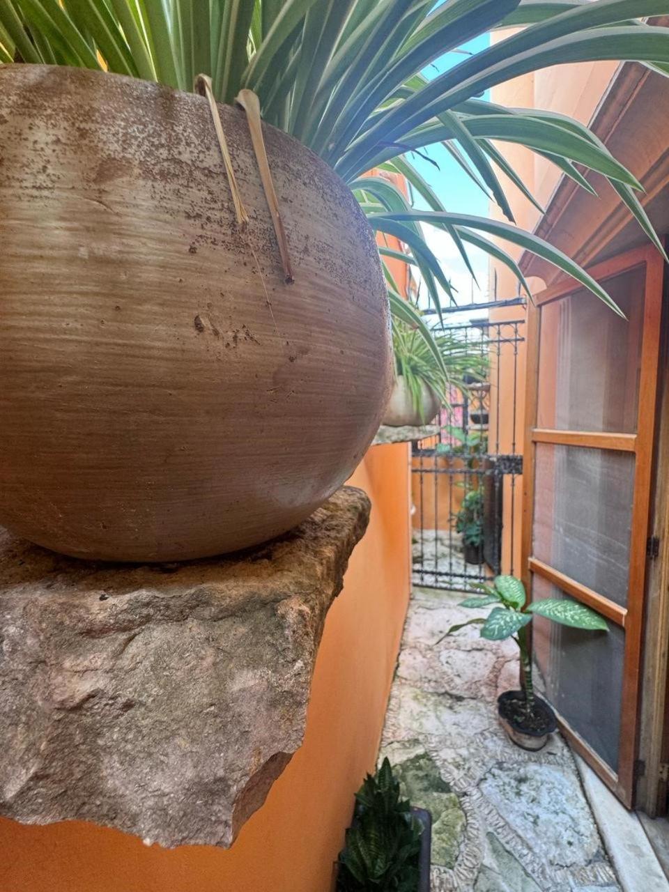 Hotel Casa Mallorca Cancún Kültér fotó