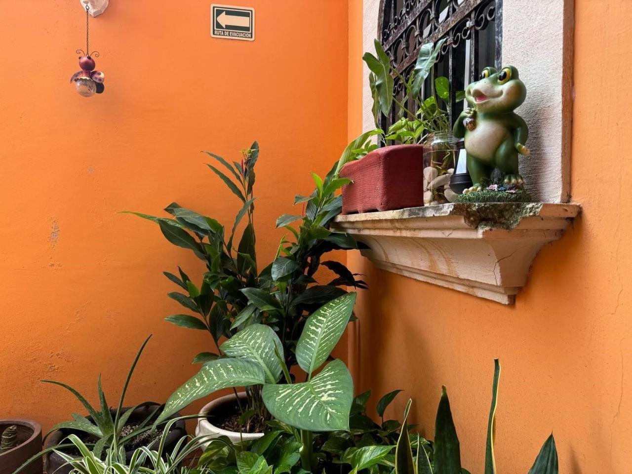 Hotel Casa Mallorca Cancún Kültér fotó