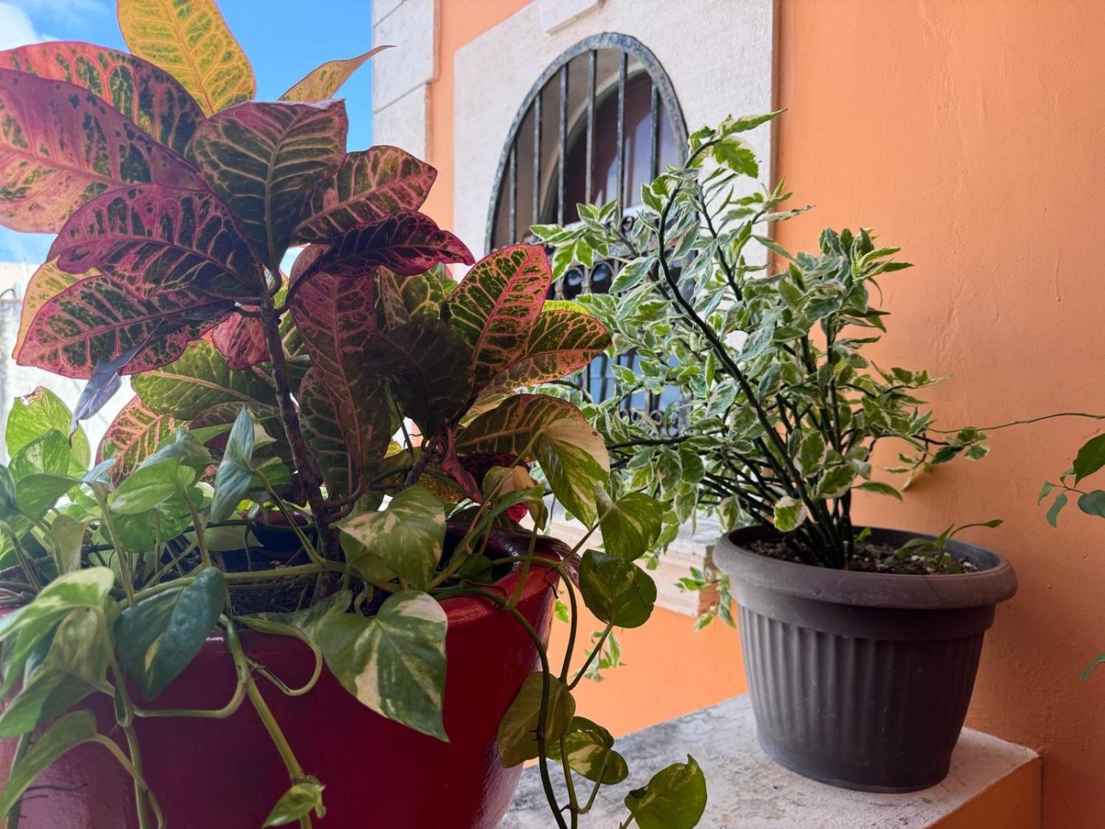 Hotel Casa Mallorca Cancún Kültér fotó